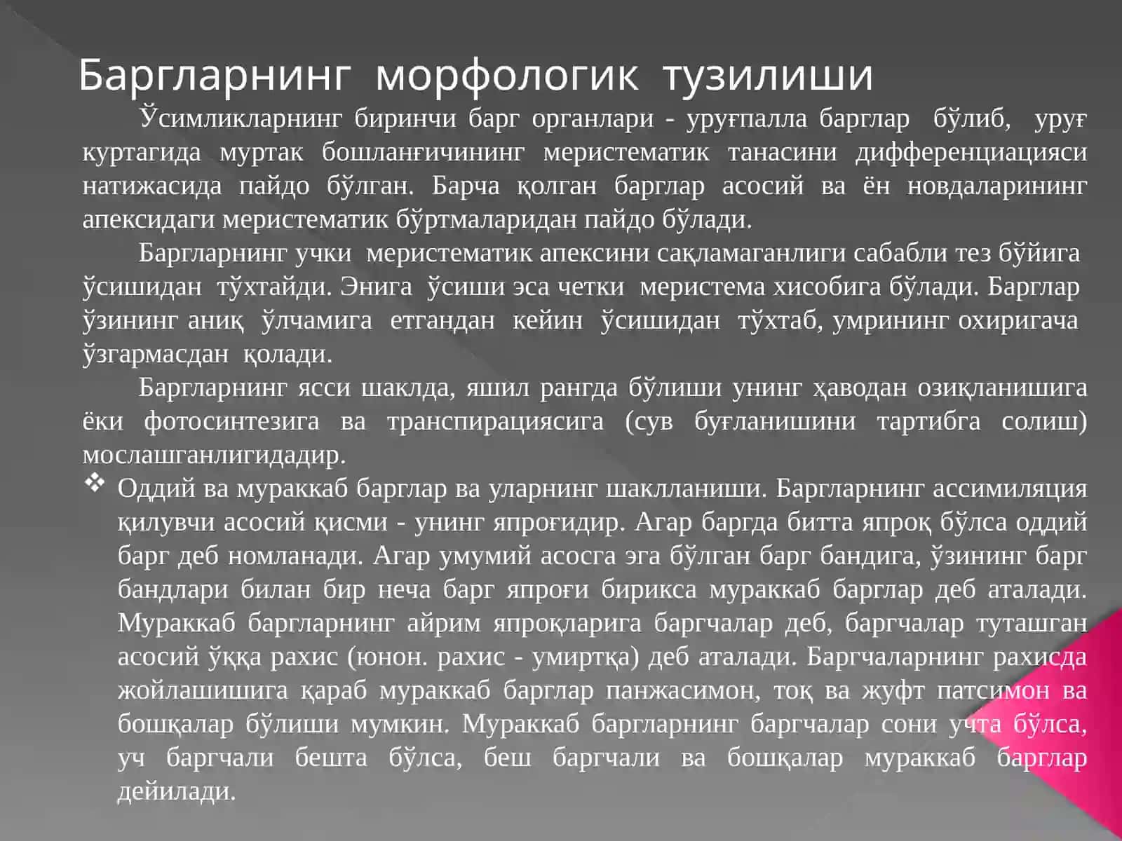Усимликлар анатомияси ва морфологияси 3