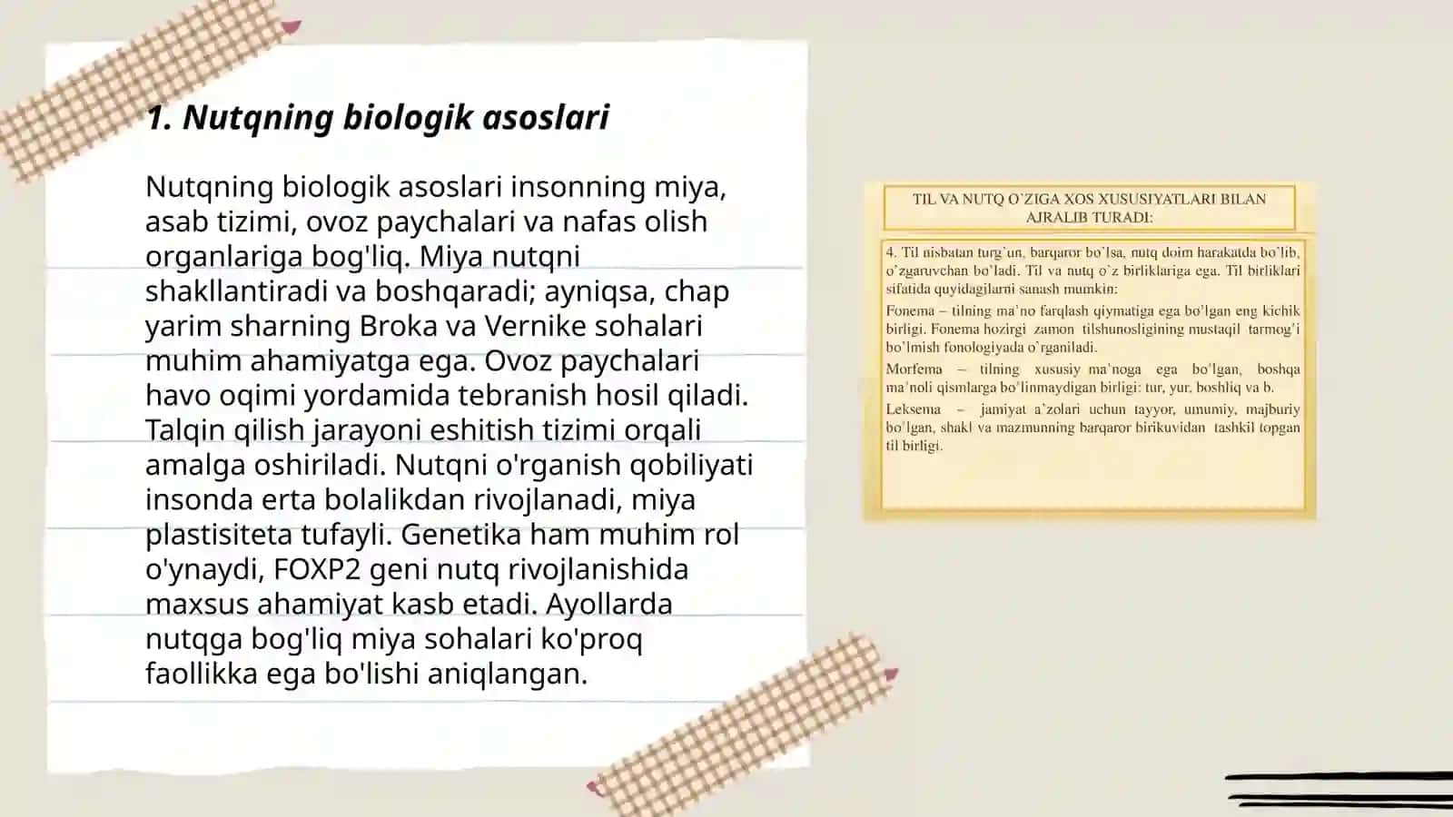Nutqning biologik asoslari 3
