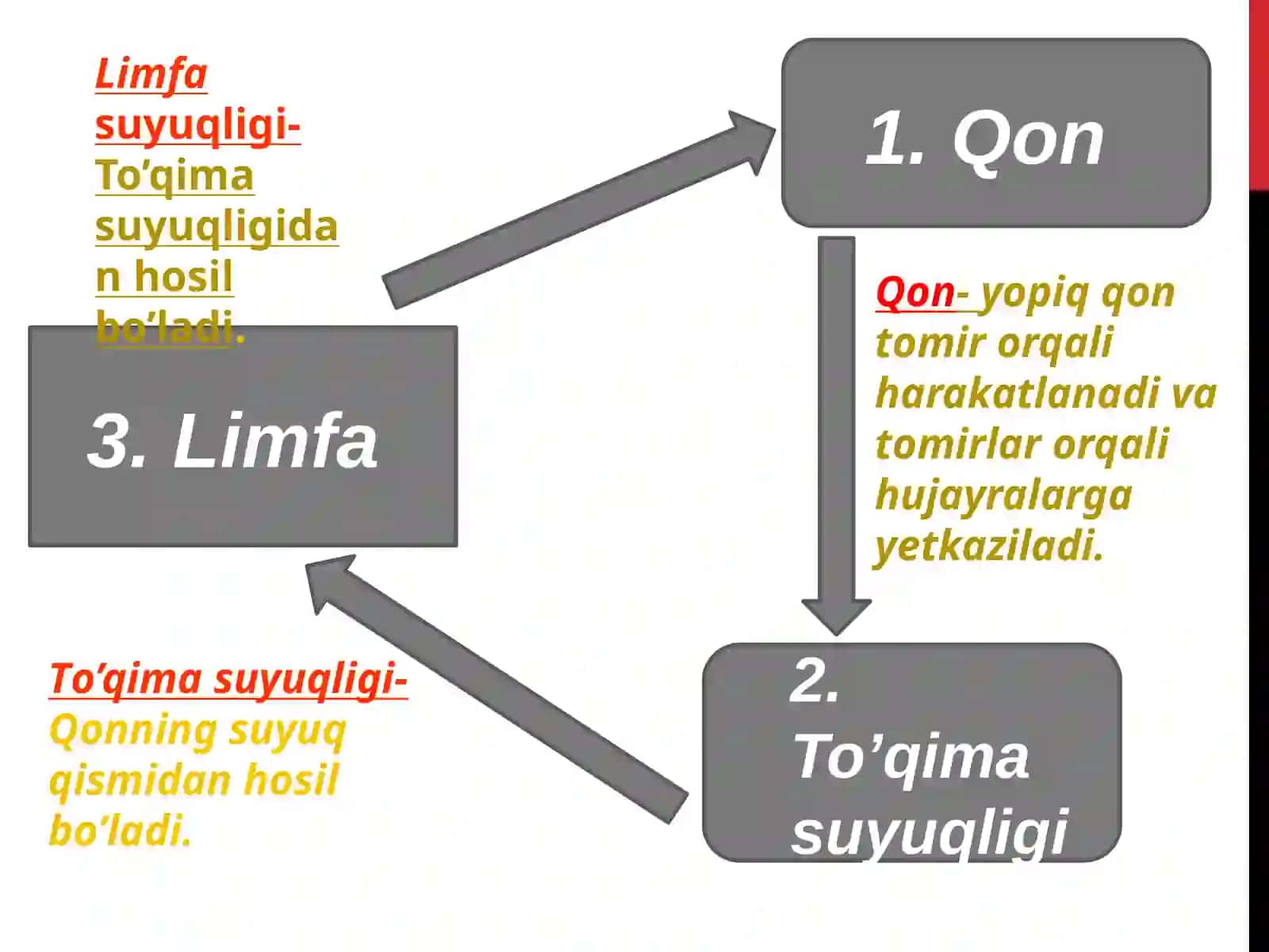 Fiziologiyakafedrasi 3