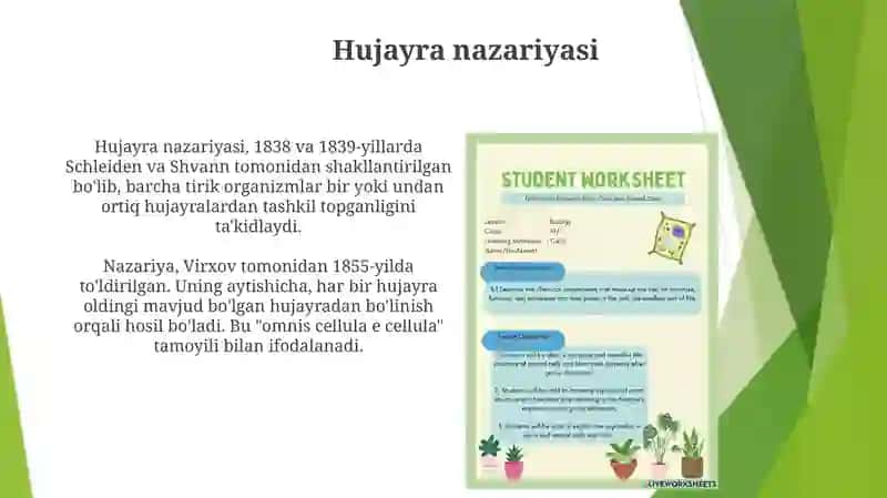 Osimlik va hayvon hujayrasining tuzilishi ularning o'zaro va farqli jihatlari 3