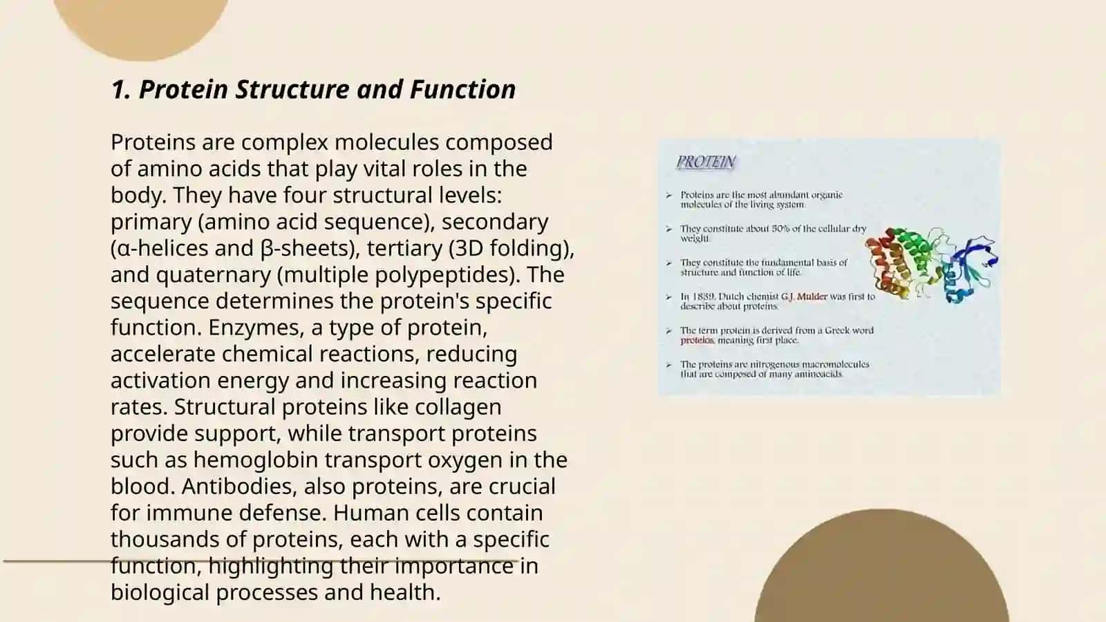 Secrets of Proteins 3