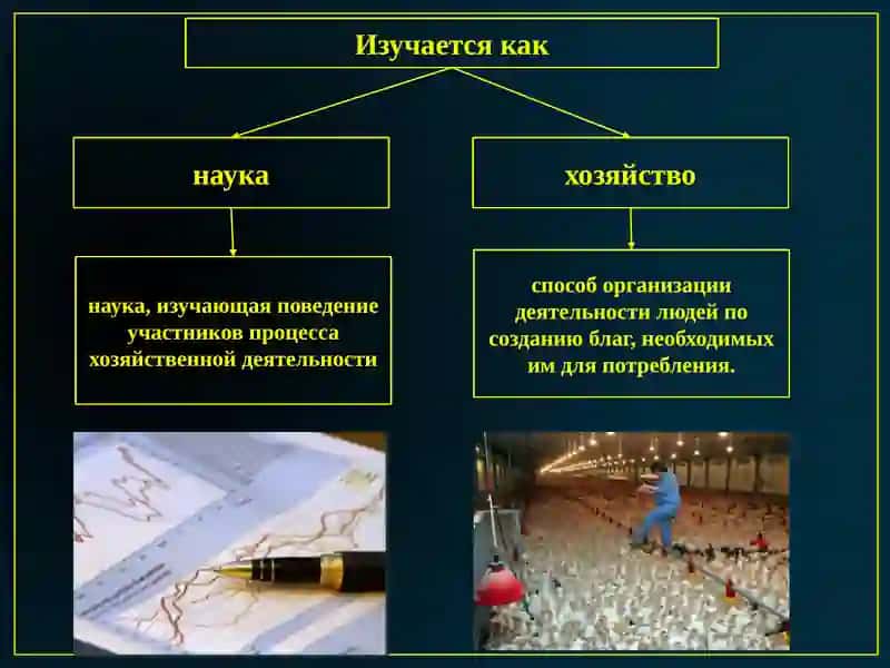 Экономика 3
