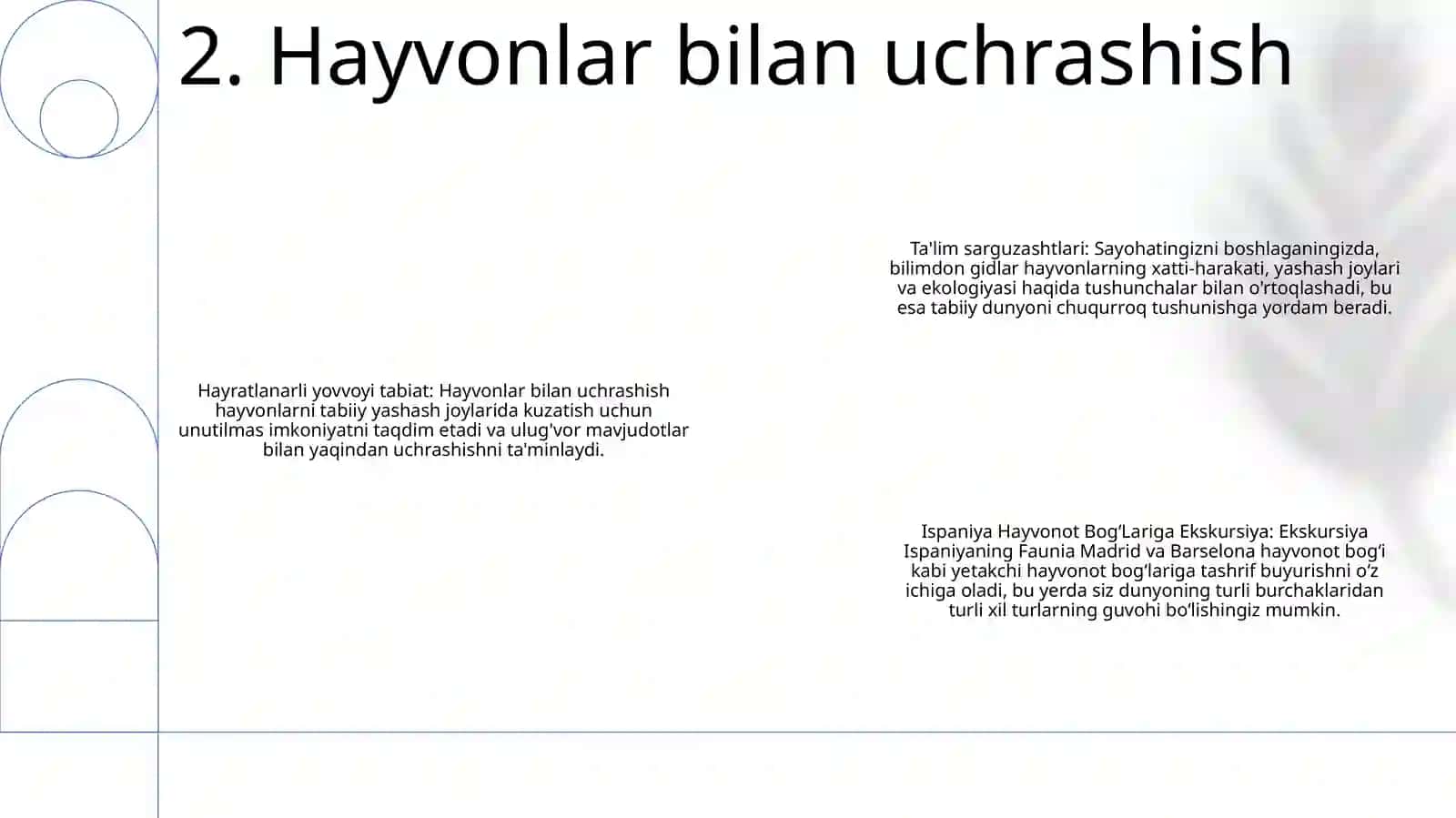 Ispaniya Hayvonot BogʻLariga Ekskursiya 3