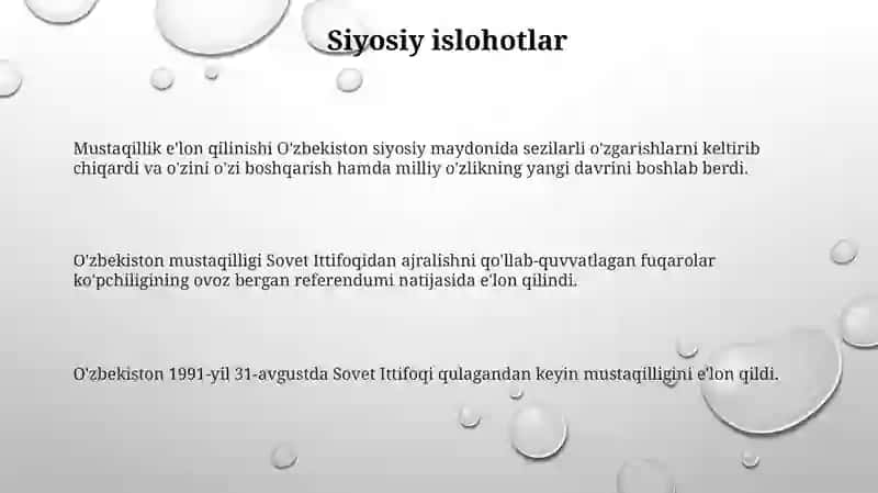 O'zbekiston deklaratsiyasi 3