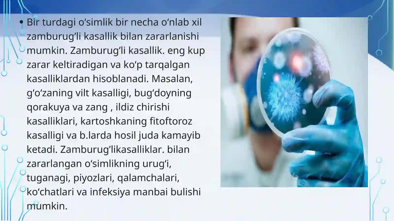 Zamburug’infeksiyalar(kandidoz,aspergilioz) 3