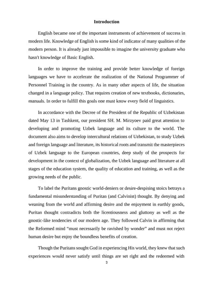 American Puritanism and Literature 3