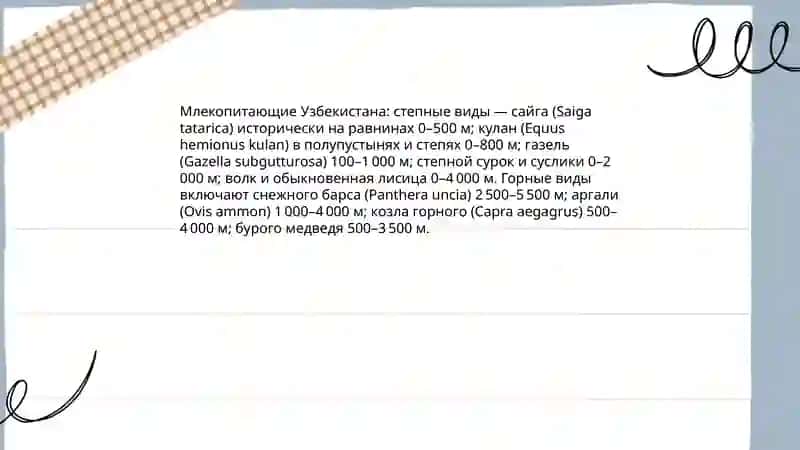 Млекопитающие Узбекистана 3