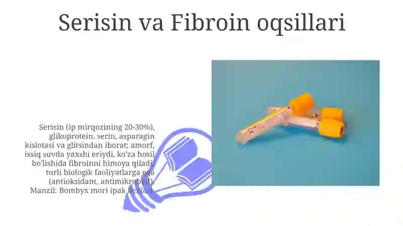 Qonning morfologik va biologik xususiyatlari 3