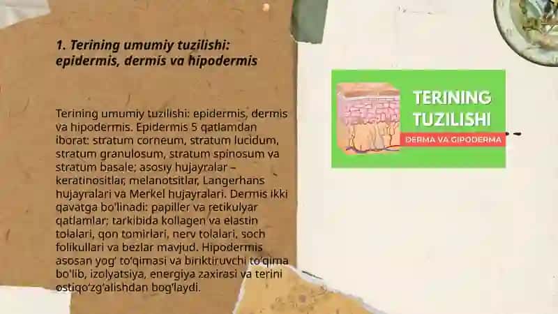 Teri qoplami va uning hosilalarini oʻrganish 3