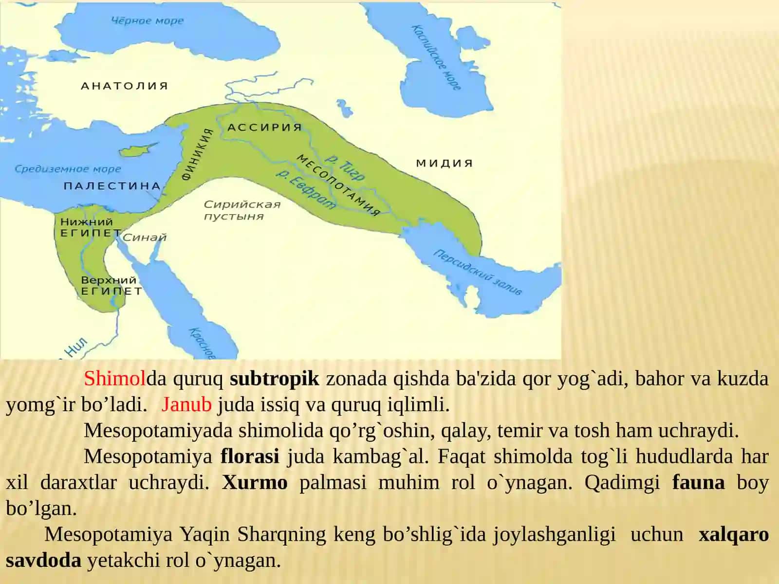 QADIMGI IKKIDARYOORALIG‘I 3