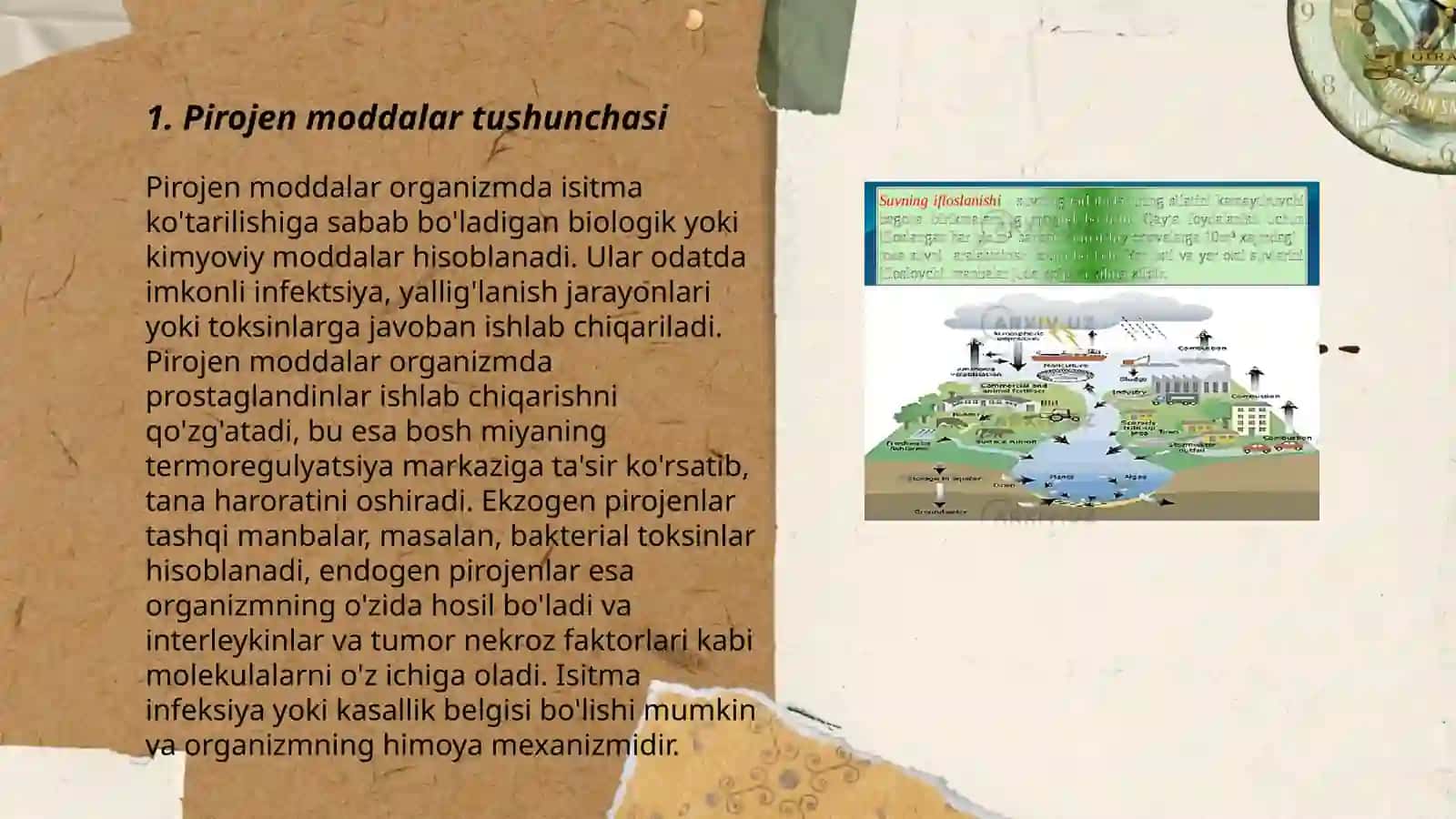 Pirogen moddalar termoregulyatsiya jarayonidagi ahamiyati 3
