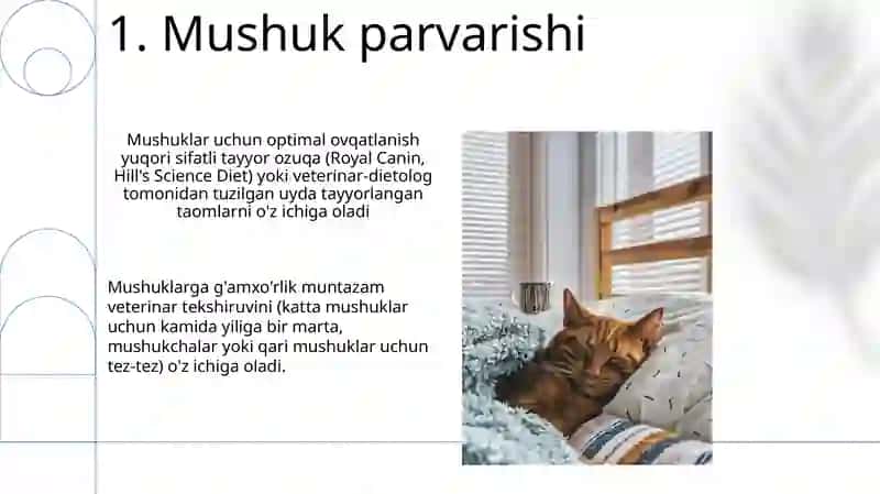 Mushuklar 3