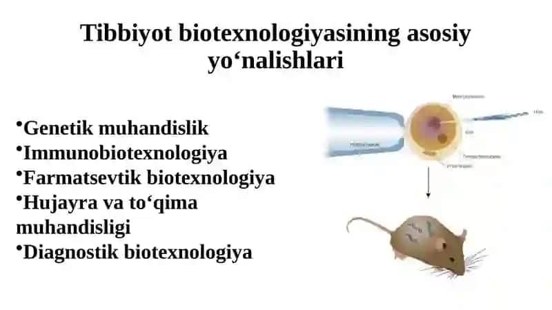 Tibbiyotbiotexnologiyasi 3