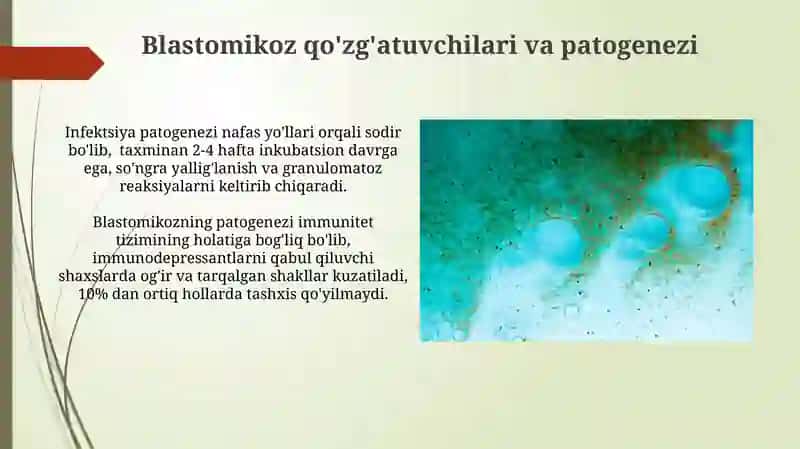 Zamburuĝli Kasalliklarning Qo'zg'atuvchilari 3