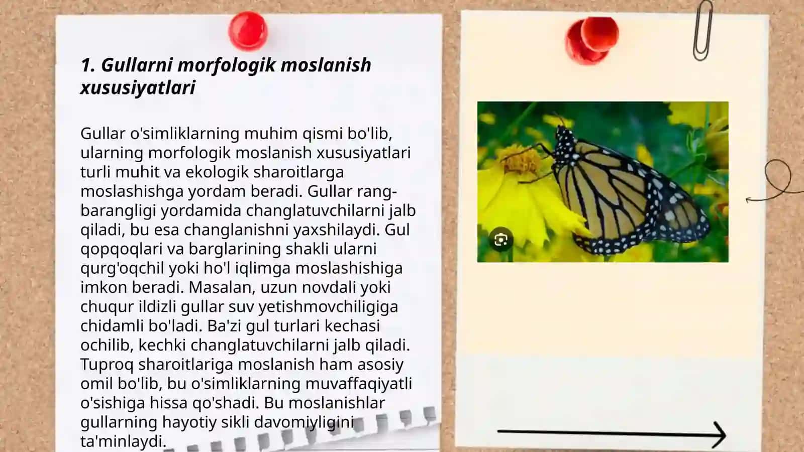 Gullarni morfologik moslanish xususiyatlari 3