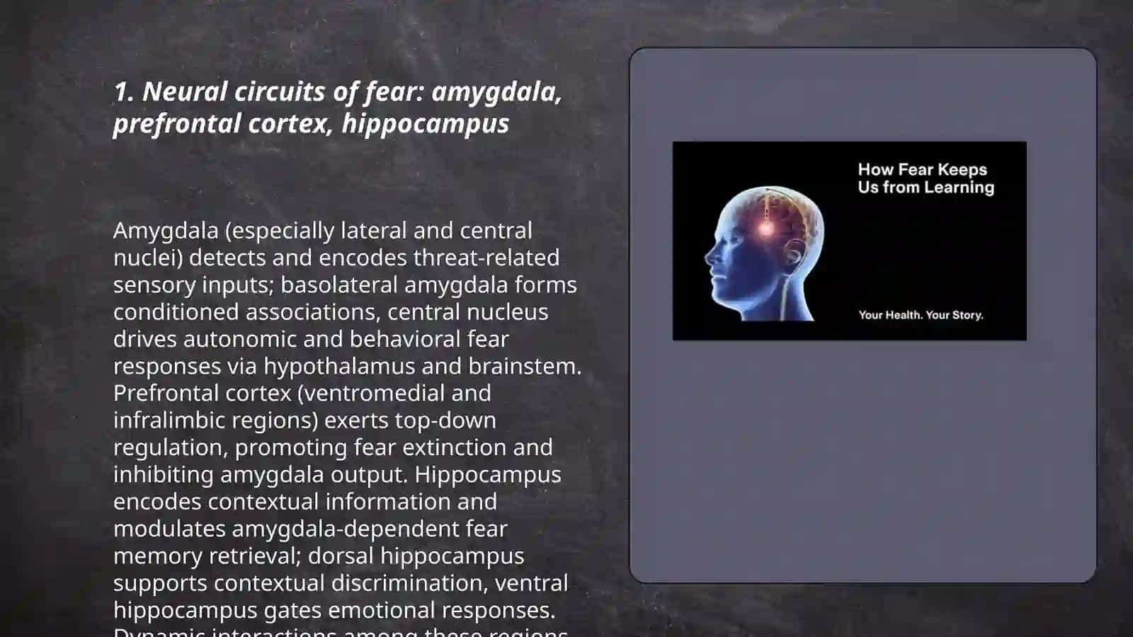 Neural Circuits of Fear 3