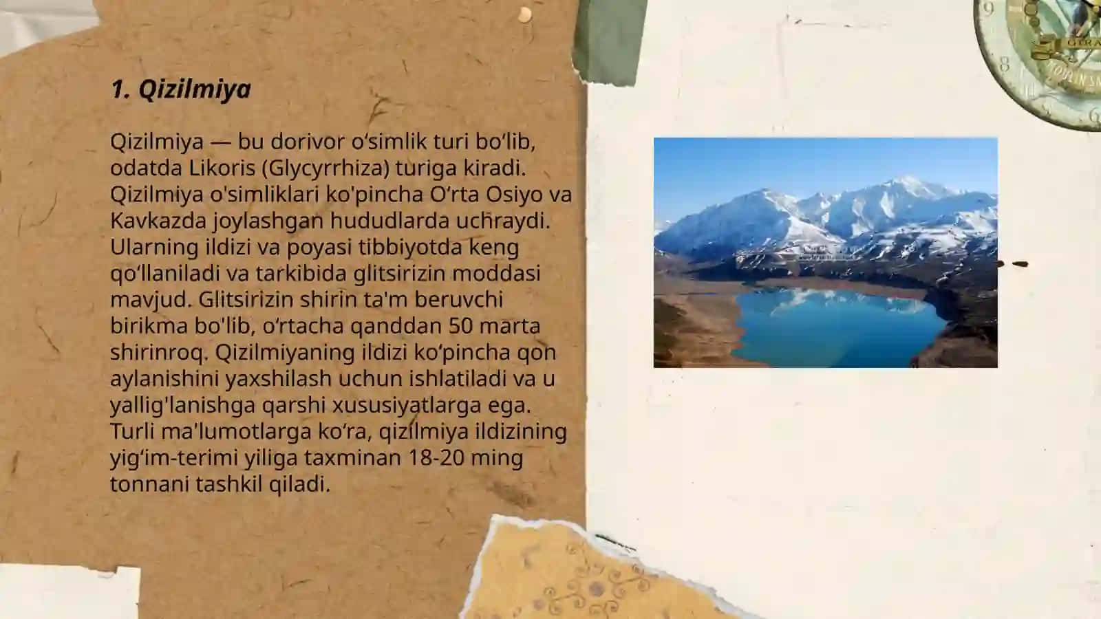 Qizilmiya 3