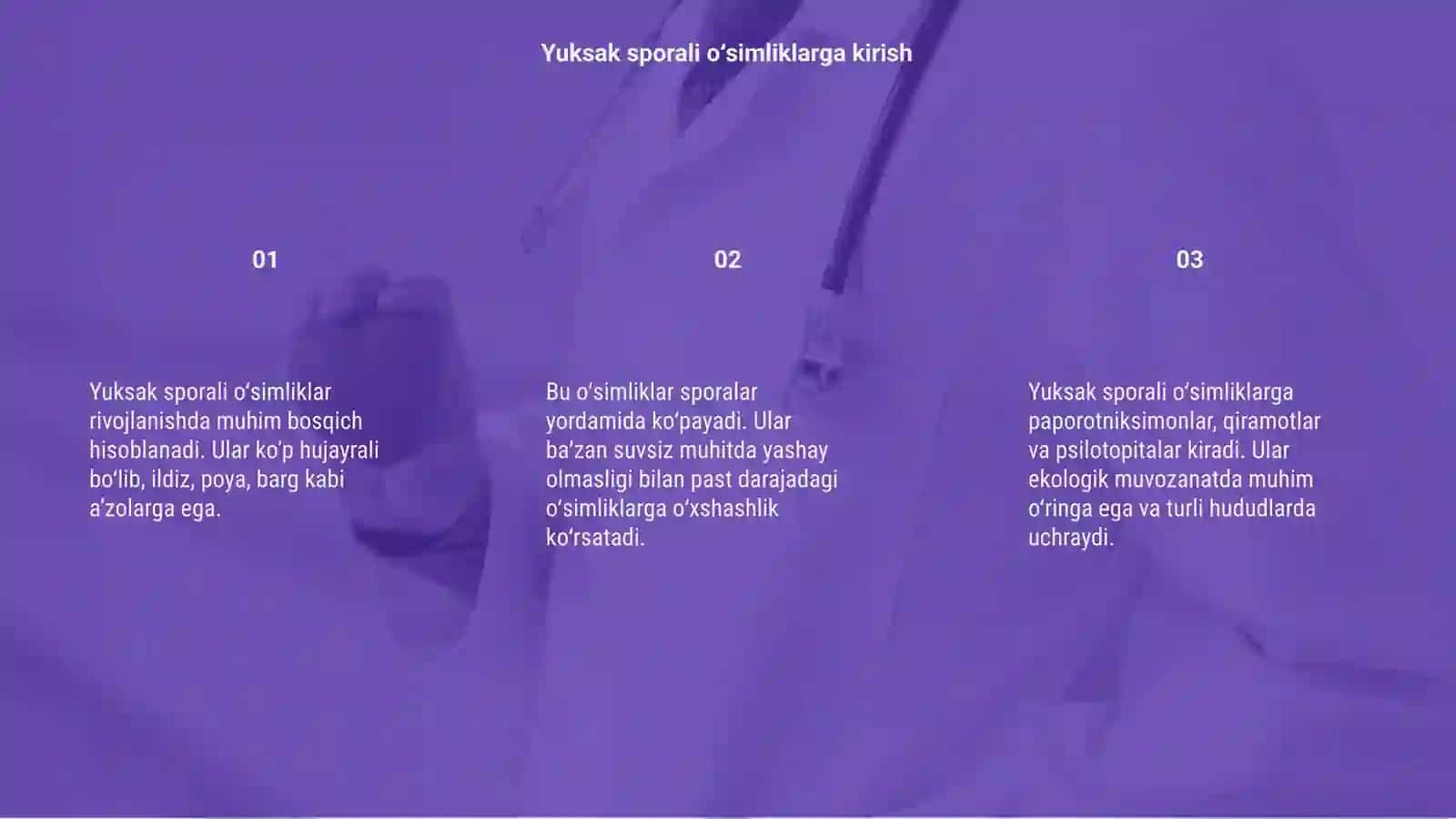 Yuksak sporali oʻsimliklar 3
