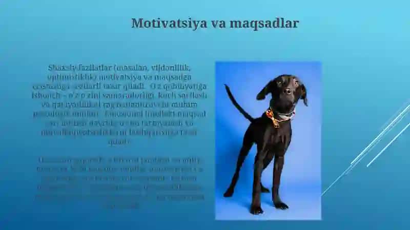 Shaxsning individual psixik xususiyatlari 3