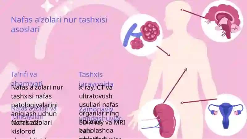 Nafas aʼzolari nur tashxisi 3