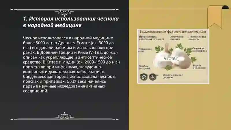 Селебные свойства чеснока 3