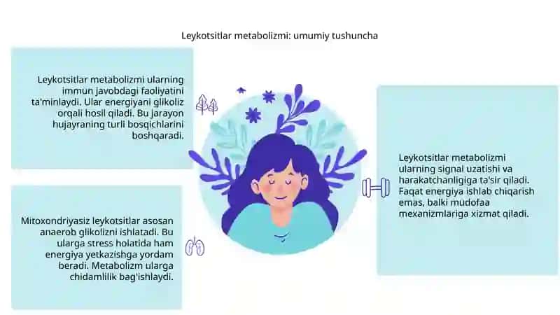 Leykotsitlar metabolizmi 3
