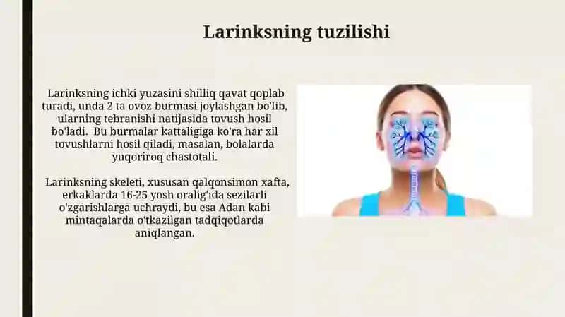 Larinks va uning yoshga bog'liq o'zgarishlari 3