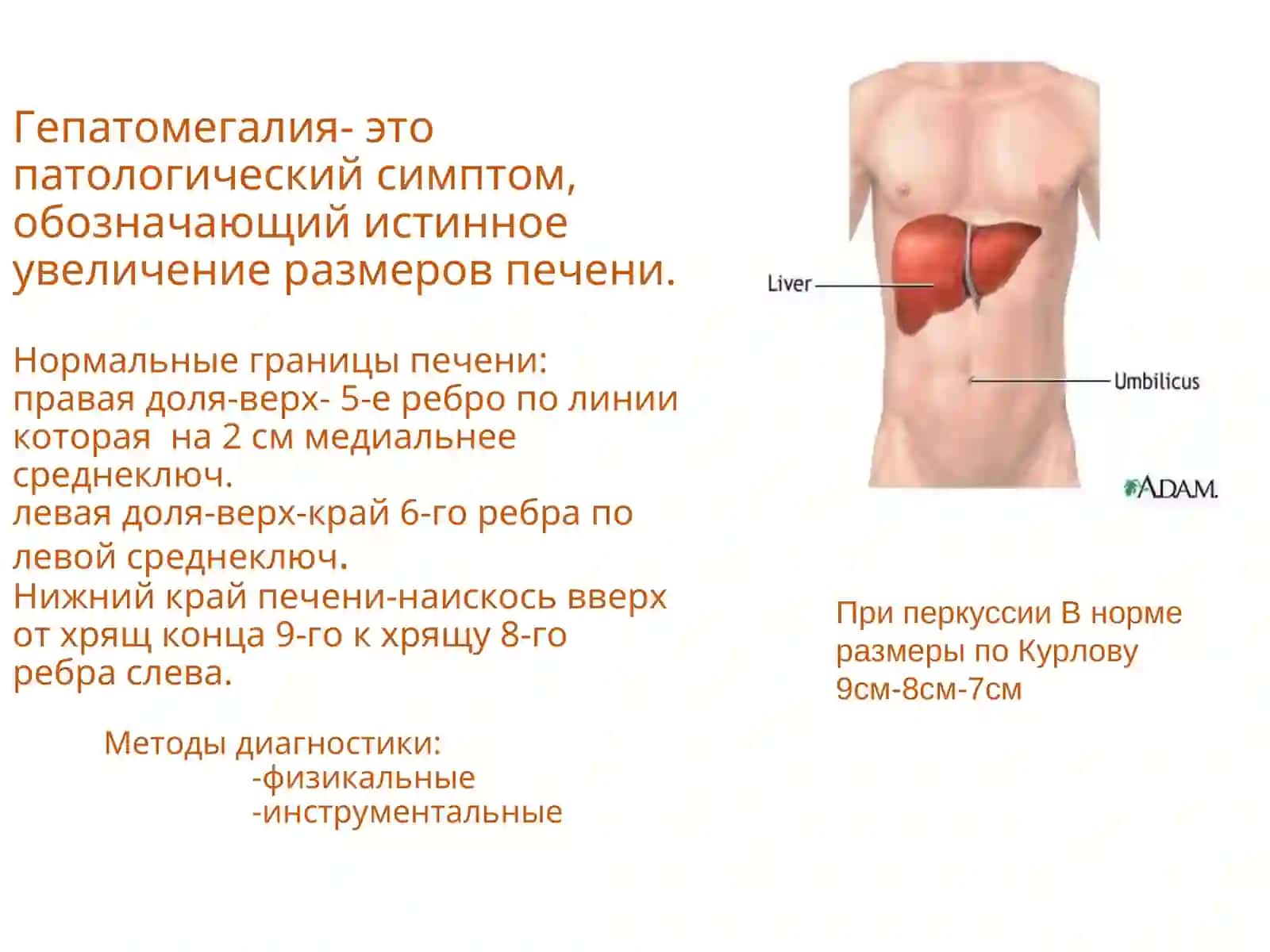 Синдром Гепатомегалии 3