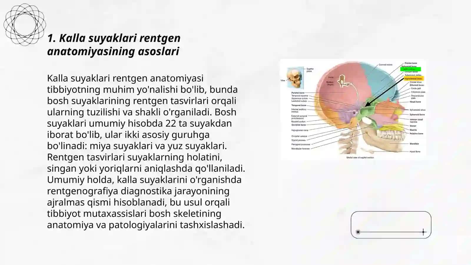 Kalla suyaklarining rentgen anatomiyasi 3