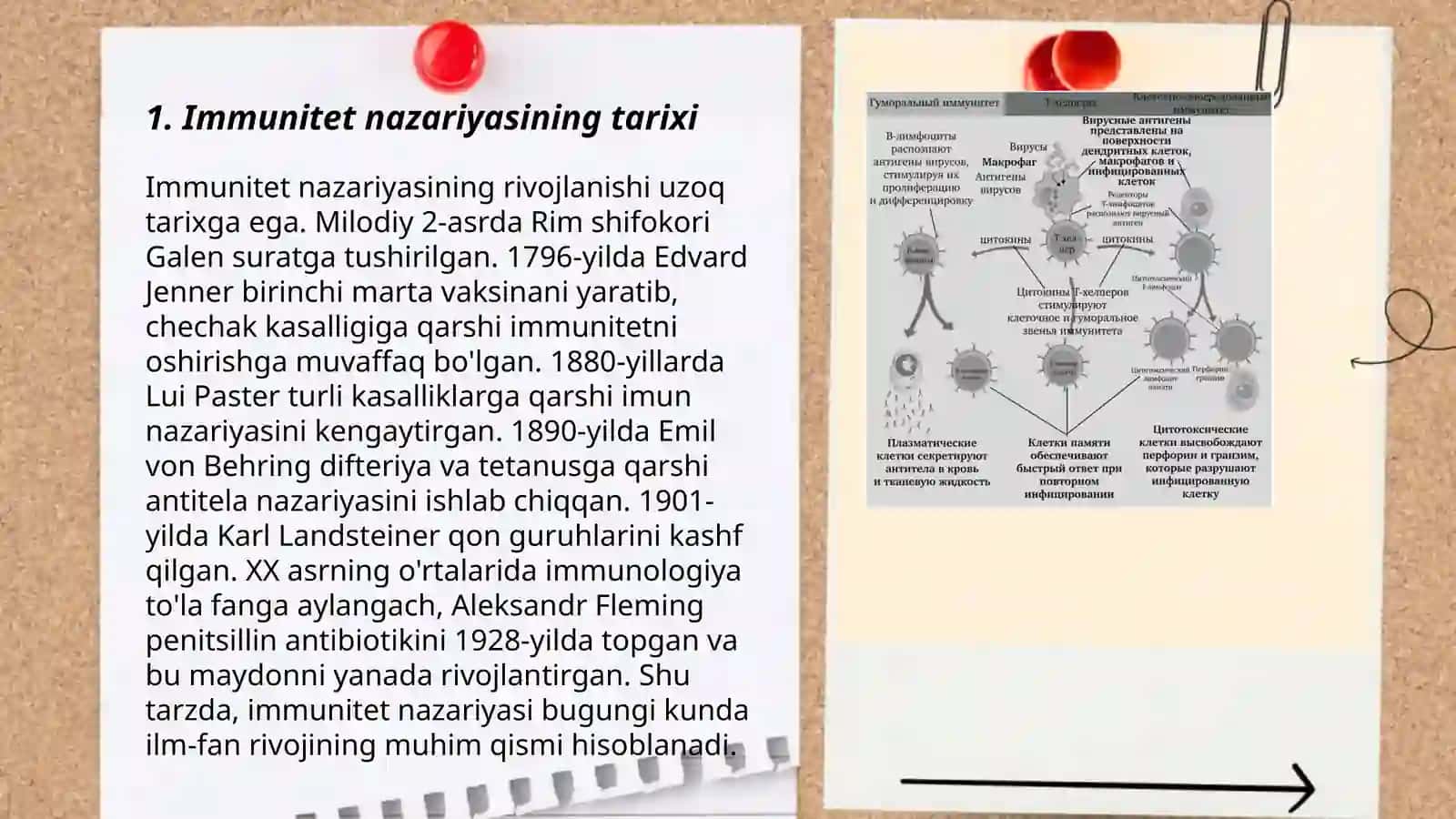 Immunitet nazariyasi 3