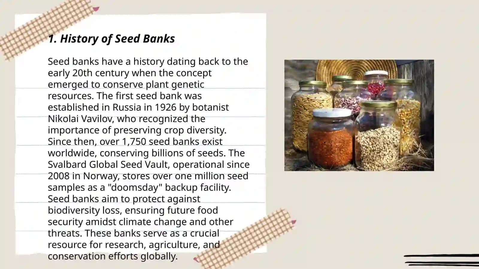 Rózimatova Xosiyatxon (Seed Bank) 3
