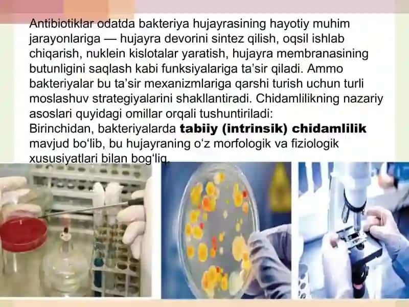 Bakteriyalarning antibiotiklarga chidamli shakllarini paydo bo‘lish mexanizimlari. 3