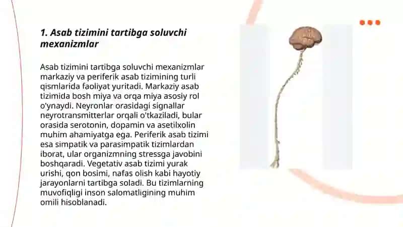 Nerv va gumoral boshqaruvning farqlari 3