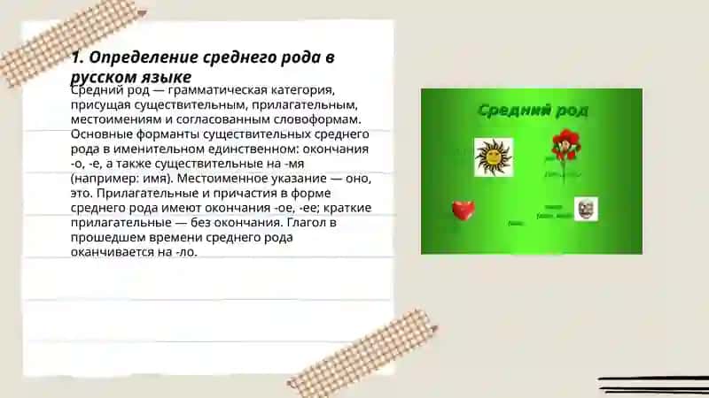 Средний род 3