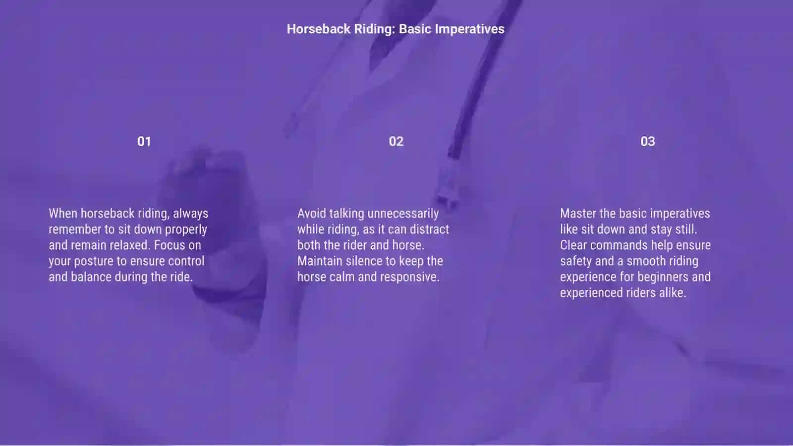 Horseback Riding: Basic Imperatives 3