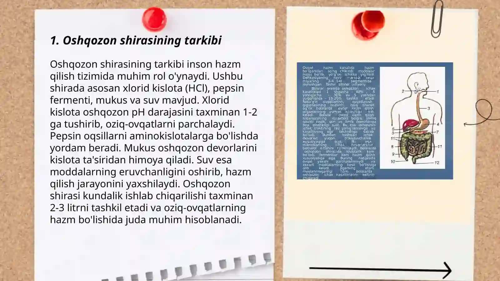 Oshqozon shirasini interpretatsiyasi 3