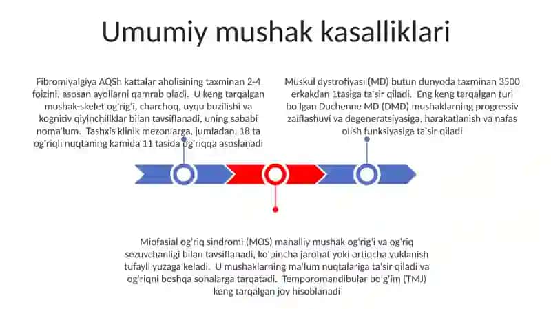 Muskul tizimi 3