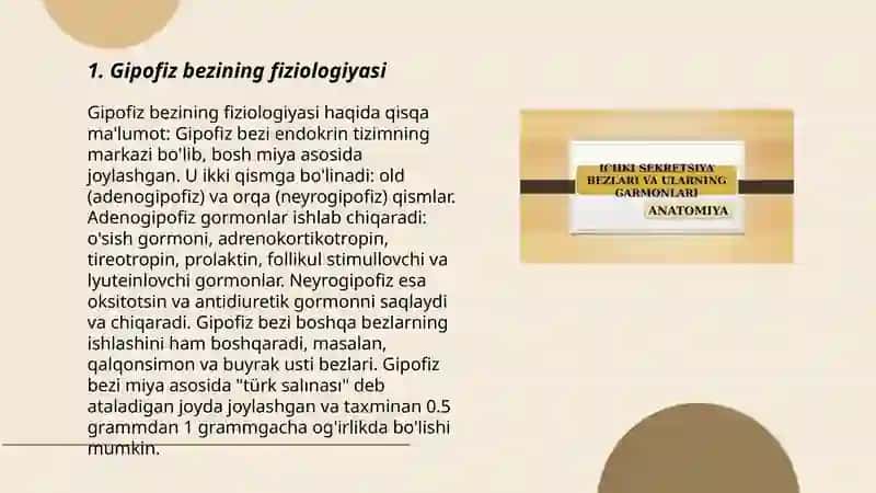 Ichki sekretsiya bezlari fiziologiyasi 3