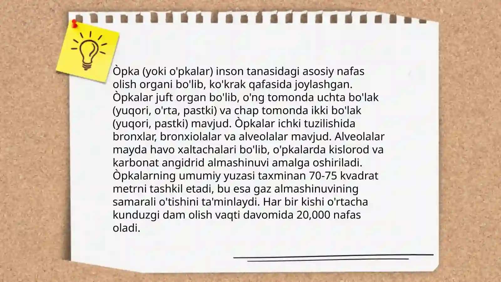 Òpkalar funksiyasini tekshirish 3