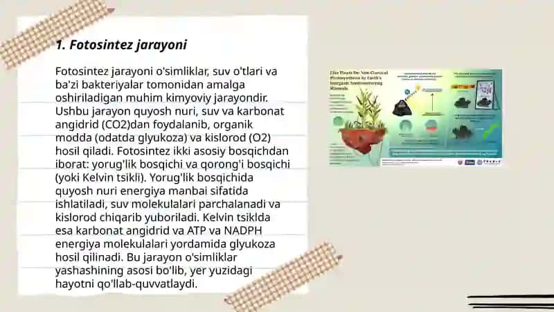 Fotosintez va Mineral Oziqlanish 3