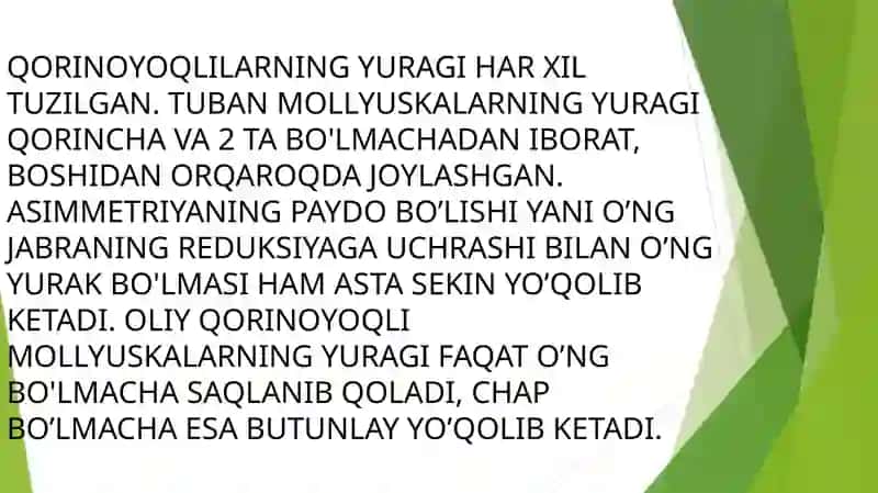 QORINOYOQLILARNING QON AYLANISHI 3