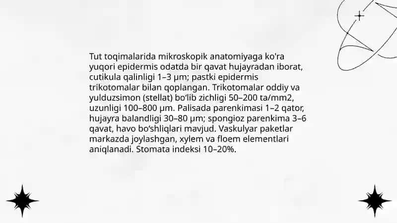 Tut toqimalarida irpiy xususiyatlari 3