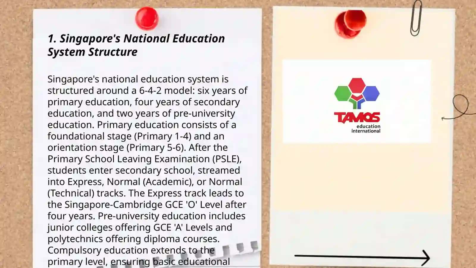 Educational system in Singapore 3