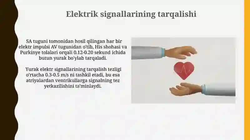 Yurak Avtomatlashtirish Tizimlari 3