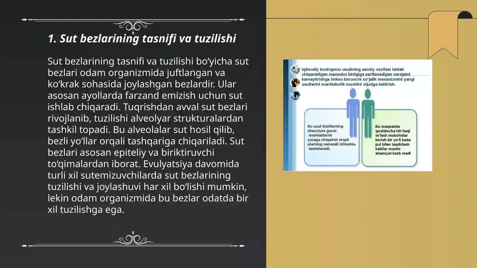 Sut bezlarining tasnifi va tuzilishi 3