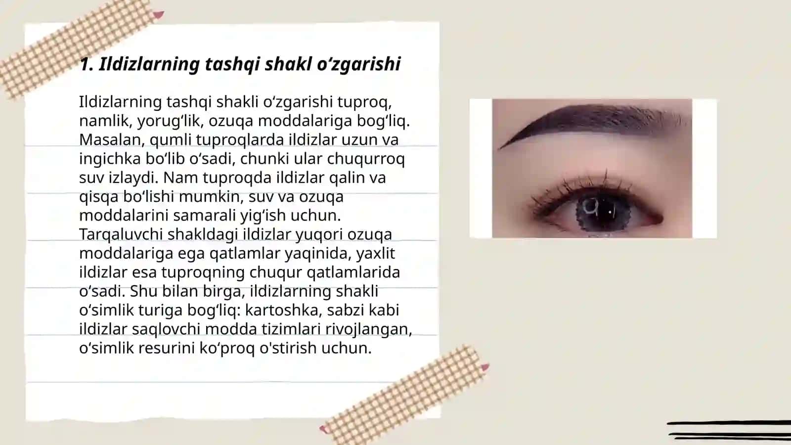 Ildizlarning tashqi shakli oʻzgarishi 3