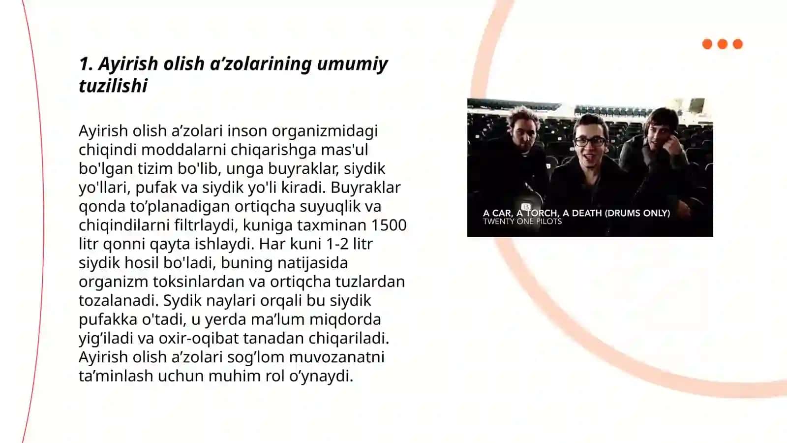 Ayirish olish a’zolarini tuzilishi 3