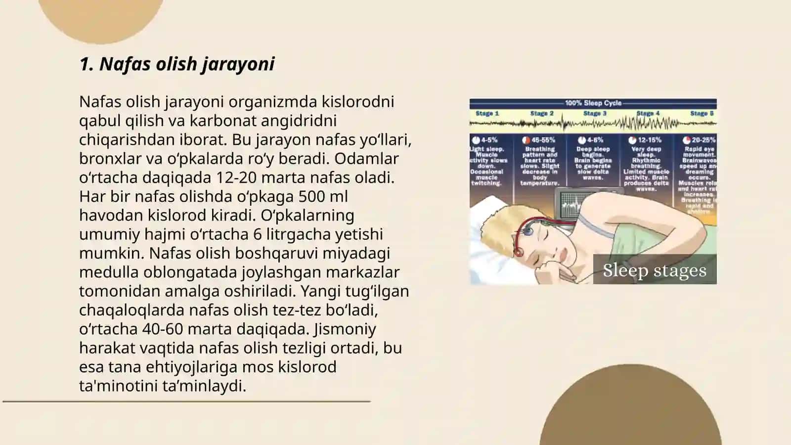 Nafas olish jarayini 3