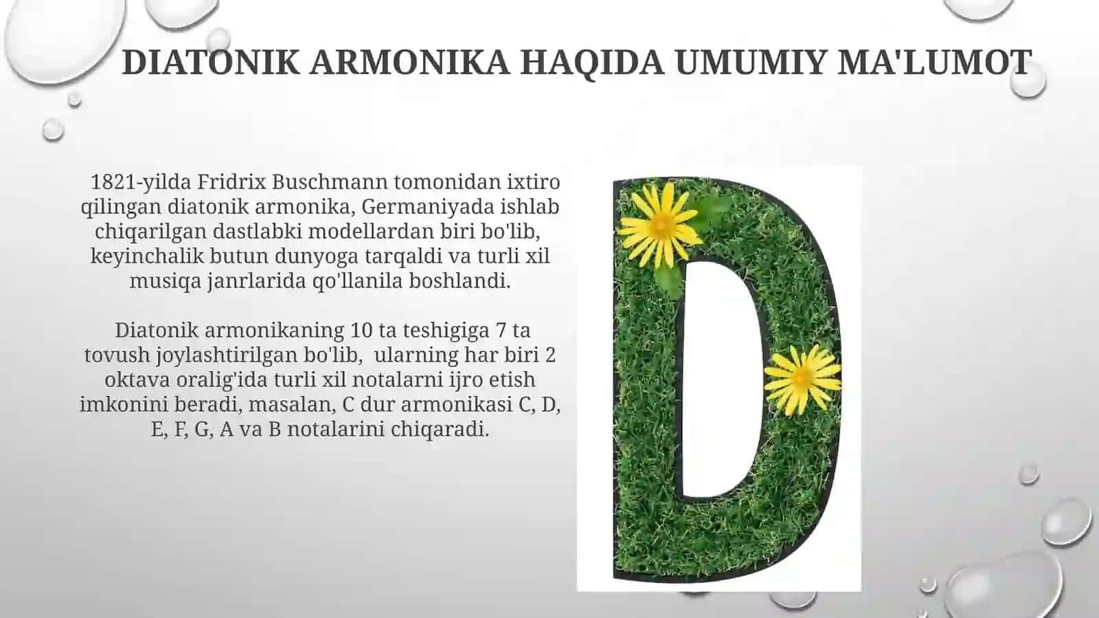 Diatonik Armonika haqida umumiy ma'lumot 3