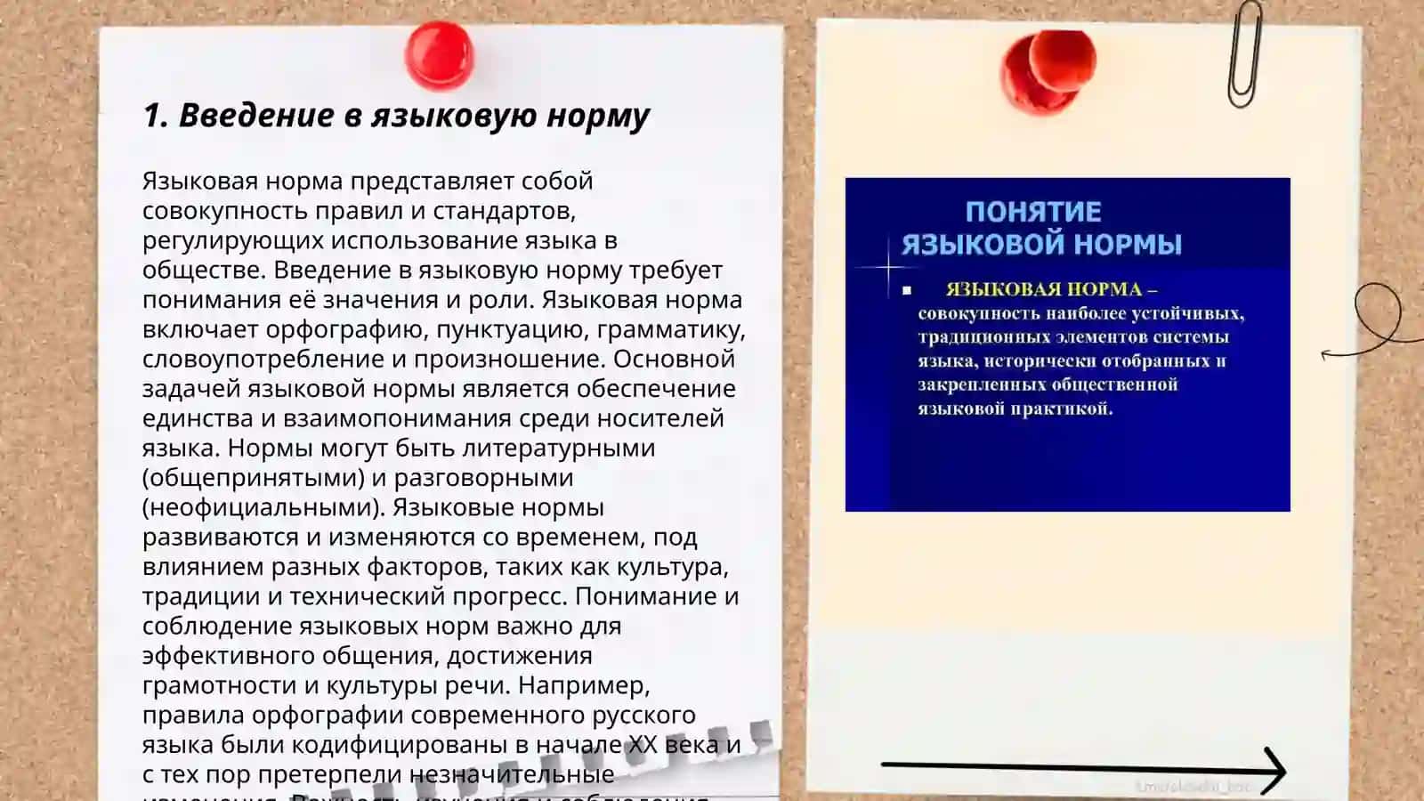 Языковая норма. История педагогики 3